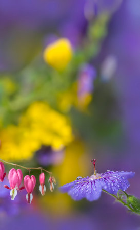 flowersの写真素材
