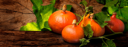 Pumkins hokkaido on the wooden background close upの写真素材