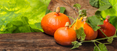 Pumkins hokkaido on the wooden background close upの写真素材
