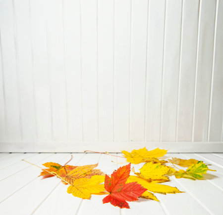 autumn leaves on white wooden table - empty space for textの写真素材