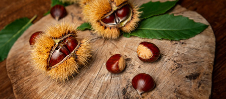 Sweet Chestnuts - Castanea sativa on an old wooden tableの写真素材