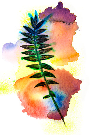 abstract hand painted botanical art - leaves and plants painted on paper with watercolors - original artworkの写真素材