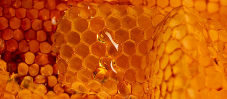 honey texture close up in the detailの写真素材