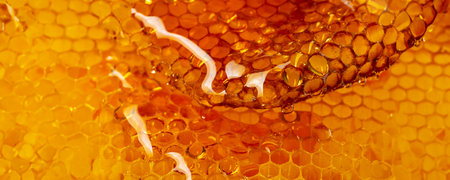 honey texture close up in the detailの写真素材