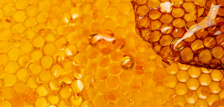 honey texture close up in the detailの写真素材