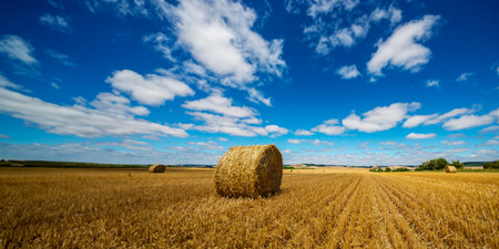 landscape after harvestの写真素材