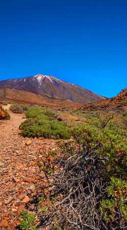 Teide National Park, Tenerife, Canary Islandsの写真素材
