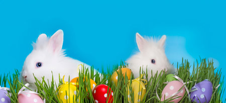 little white rabbit and easter eggsの写真素材