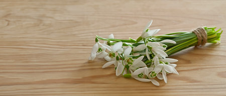 bouquet of snowdrops on wooden backgroundの写真素材