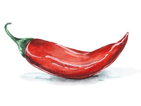 watercolor chili for your cookbooks, cards, menus and other ideasの写真素材
