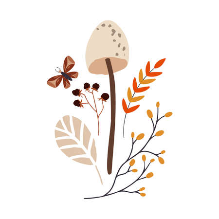 Autumn design in flat style, natural fall elements. Hand-drawn mushrooms, moths, leaves and brunches. Isolated vector illustration on white background for postcards, textiles, websites and social mediaのイラスト素材