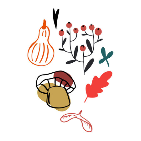 Autumn design in flat style, natural fall elements. Hand-drawn mushroom, physalis, leaves and berries clipart. Isolated vector illustration on white background for postcards, textiles, websites and social mediaのイラスト素材