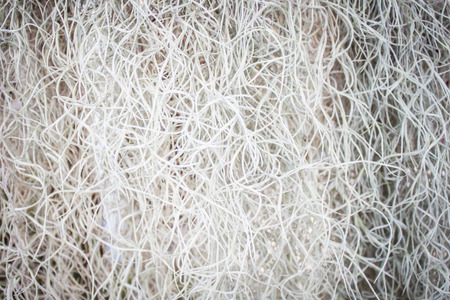 background image Theme leafの写真素材