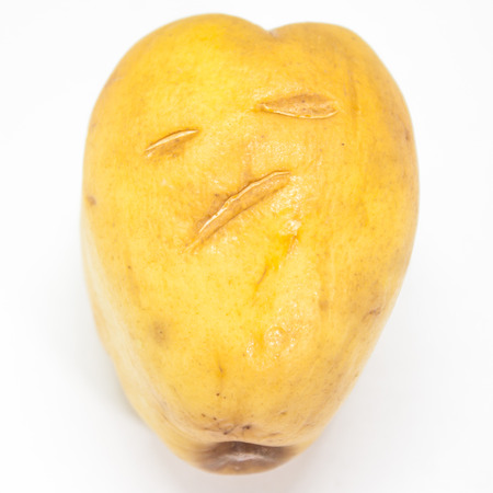 monkey appleの写真素材
