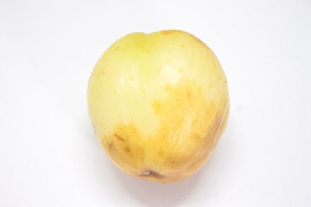 monkey appleの写真素材