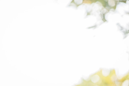 Natural Bokeh Background in thailandの写真素材