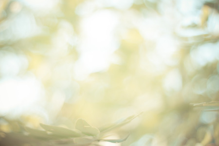 Natural Bokeh vintagecolour Background in thailandの写真素材