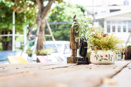 pot plants ontop wood tableの写真素材