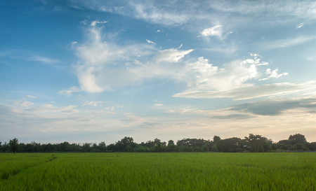 farmland countryside Thailand view / Beautiful cloudsの写真素材