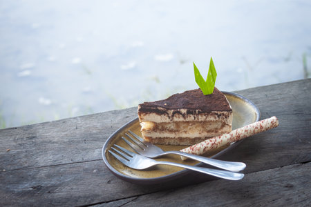 Cake Tiramisu , sweet snack , homemade breakfast cakeの写真素材
