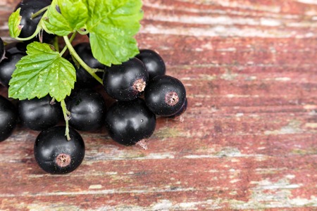 organic garden berries on old wood table, from above. black currant.