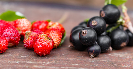 organic garden berries on old wood table, from above. black currant and Strawberry.