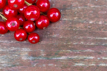 organic garden berries on old wood table, from above. red currant.の写真素材