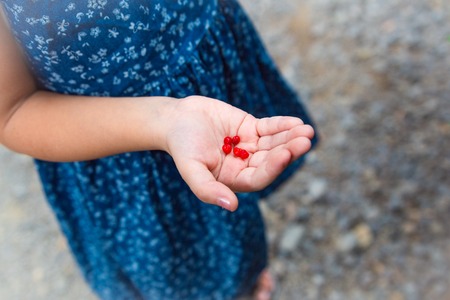 girl's hand. red berries lie on a children's palm.