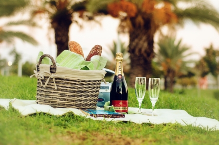 Picnic with Piper Heidsieck Champagne Brutのeditorial素材