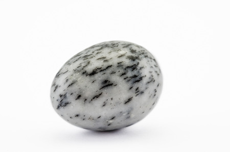 Zebra jasper egg on white backgroudの写真素材