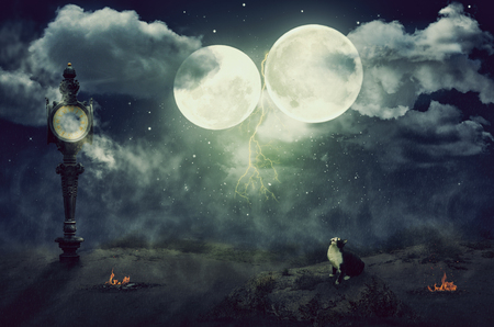 Alone black white cat looks up to double moons on starry misty thunder sky. There is broken street clock in left sideの写真素材