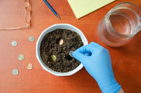 Some coins are planted in the soil of the flower pot on the office desk.
