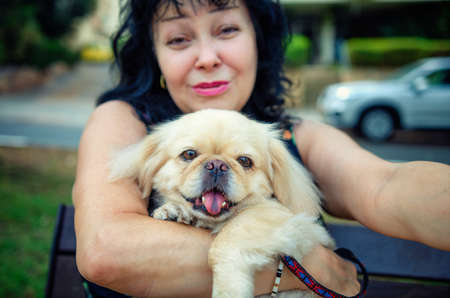 Portrait of a Pekingese dog with a mistress sitting on a bench in the parkの写真素材
