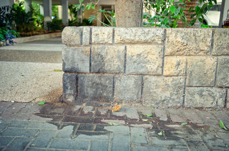 Dogs marked a corner of the decorative wall near the entrance to the residential house. Traces of...