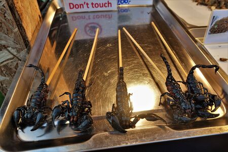 Fried black scorpions sold in a market in Bangkok. Scorpions are fried whole on sticks. Lie on a metal tray.の写真素材