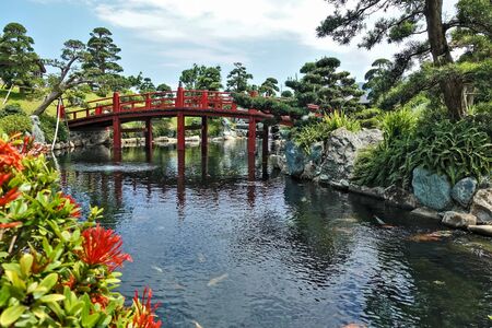 Japanese style park. Sunny summer day, colorful fish swim in the river. The shores are connected by...