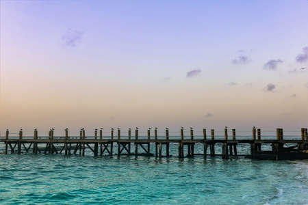 A wooden walkway runs over the turquoise waters of the Caribbean Sea. A bird sits on each pillar. The dawn sky is painted in lilac and golden tones. Mexico.の写真素材
