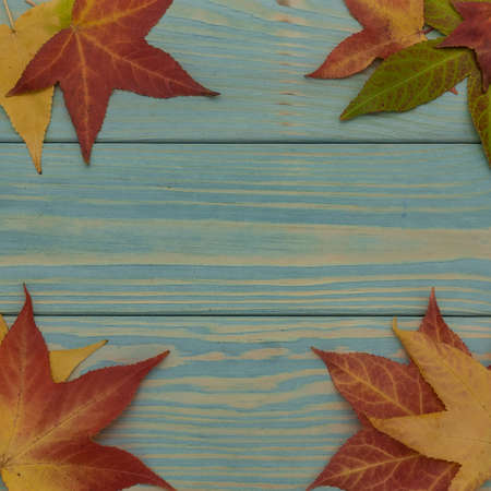Background: colors of autumn. On the blue painted boards, in each corner of the screen lie yellow,...