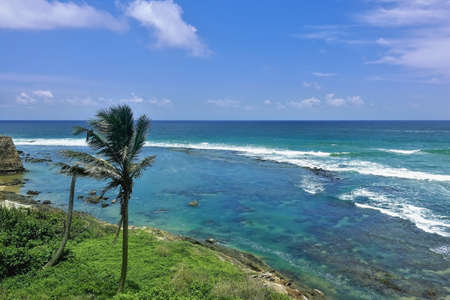 Waves with white foam on the turquoise ocean. A palm tree grows on the bank. Azure sky with picturesque clouds. Summer sunny day. Sri Lanka. Galle fort