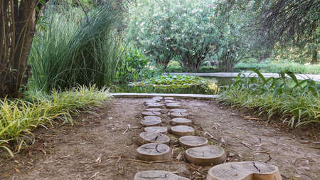 The path in the park is paved with tree stumps. Green grass grows along the roadside. Ahead is a...