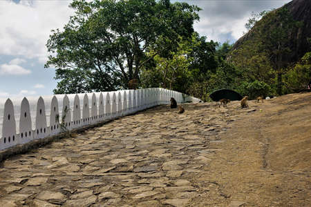 The road going uphill is paved with stones. On the left is a white stone fence. Ahead is the...