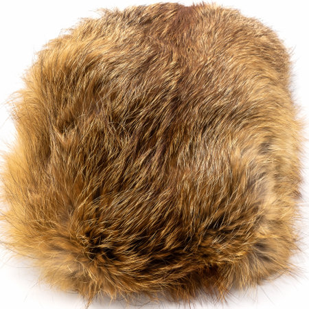 Warm winter hat for women. Made of thick fluffy shiny red fox fur. White background.の写真素材