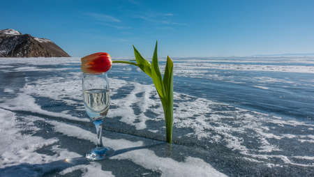 There is a wine glass with champagne on the frozen lake. In the crack of ice there is a red-yellow tulip with a long curved stem. Against the background of the blue sky, the mountain range. Baikalの写真素材
