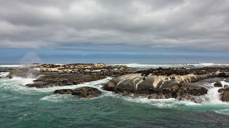 There is a colony of fur seals on a small rocky island in the Atlantic Ocean. Waves hit the stones...