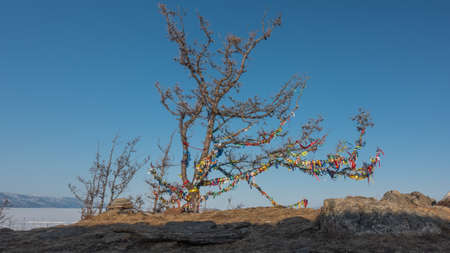 A leafless tree stands against the blue sky. The twisted branches are tied with multi-colored ritual...