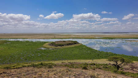 African landscape. The lake reflects the blue sky and clouds. Nearby is a swamp with green plants....