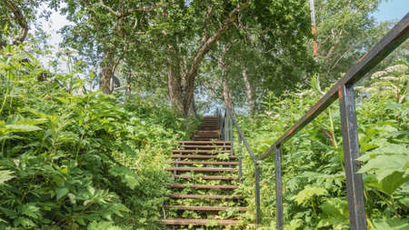 A wooden staircase with a metal railing goes up the hill. There is lush green vegetation around....