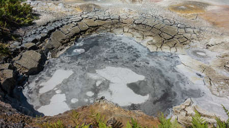 Mud hot spring. Close-up. Streaks and spots are visible on the surface of the gray liquid. There are...