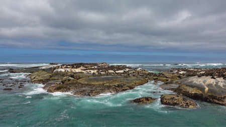 A colony of fur seals lives on a rocky island in the Atlantic Ocean. Turquoise waves are foaming. Cloudy sky. South Africa.の写真素材