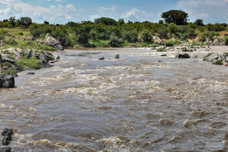 The African Mara River flows between the green banks. Muddy water boils and foams on the rocks. A sunny day. Kenya.の写真素材